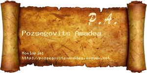 Pozsegovits Amadea névjegykártya